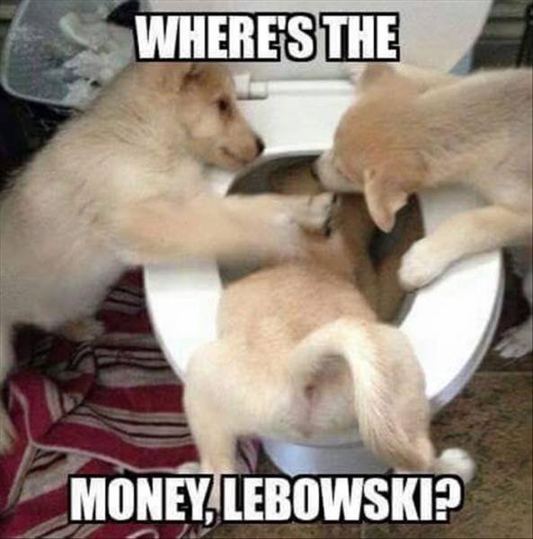 Bildschirmarbeiter - Picdump 29.07.2016