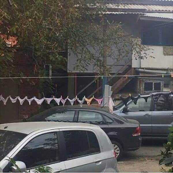 Bildschirmarbeiter - Picdump 29.07.2016