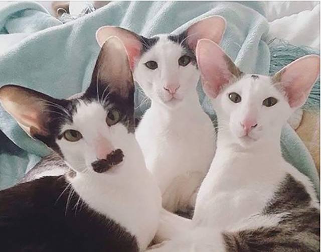 Bildschirmarbeiter - Picdump 29.07.2016