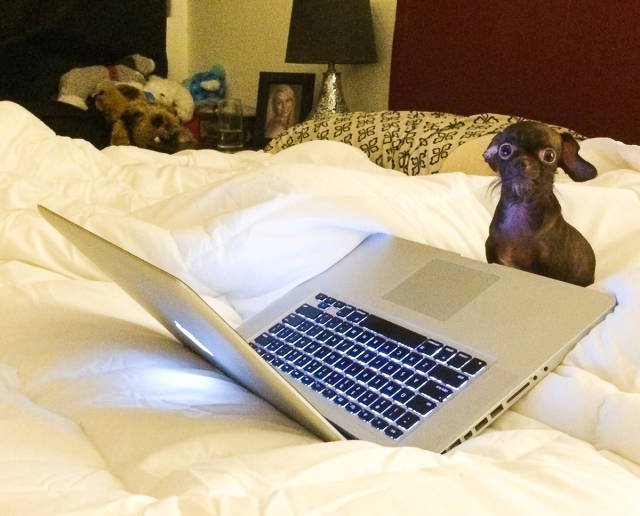 Bildschirmarbeiter - Picdump 29.07.2016