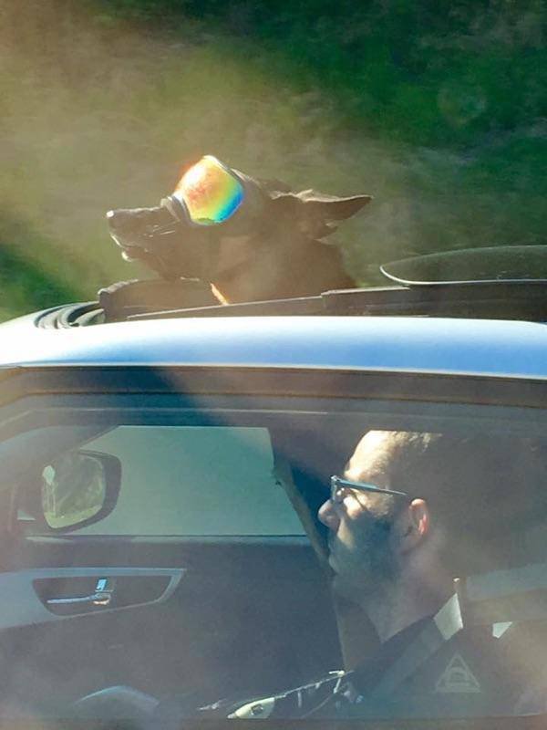 Bildschirmarbeiter - Picdump 29.07.2016