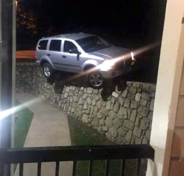 Bildschirmarbeiter - Picdump 29.07.2016