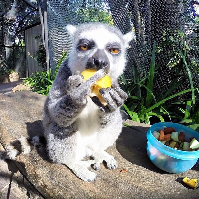 Bildschirmarbeiter - Picdump 05.08.2016