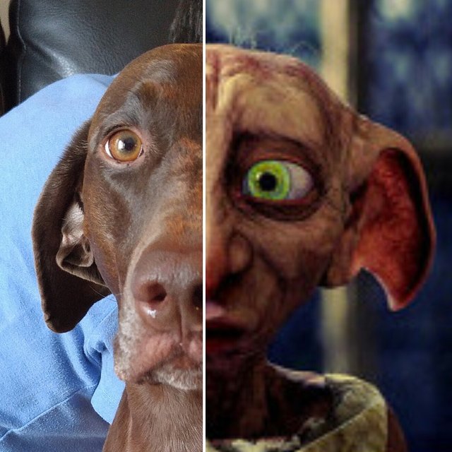 Bildschirmarbeiter - Picdump 05.08.2016