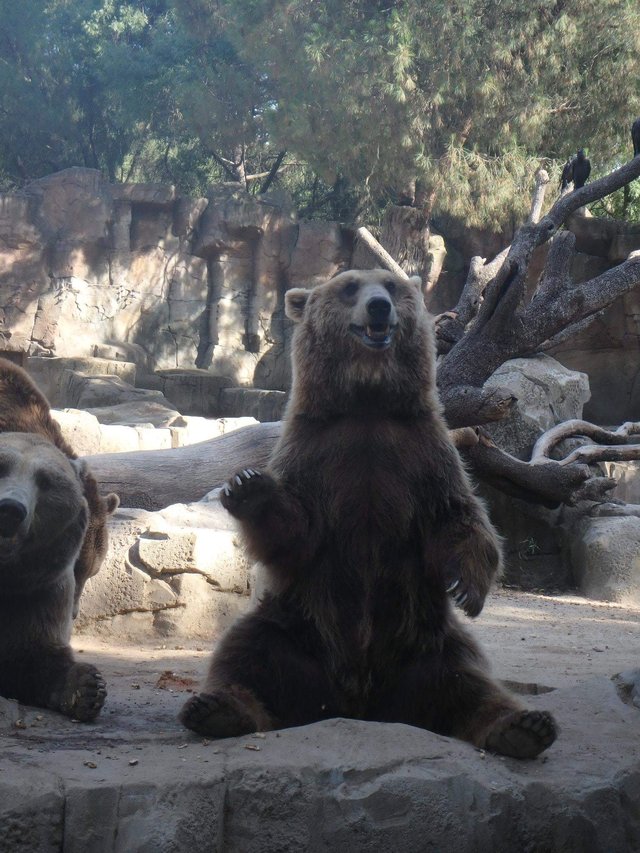 Bildschirmarbeiter - Picdump 05.08.2016