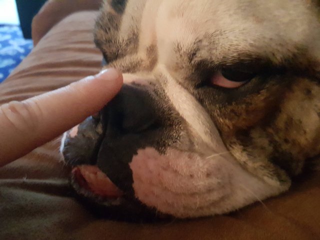 Bildschirmarbeiter - Picdump 05.08.2016