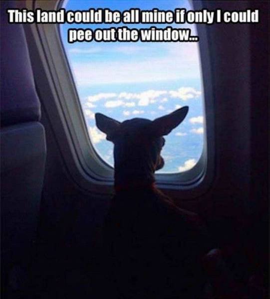 Bildschirmarbeiter - Picdump 05.08.2016