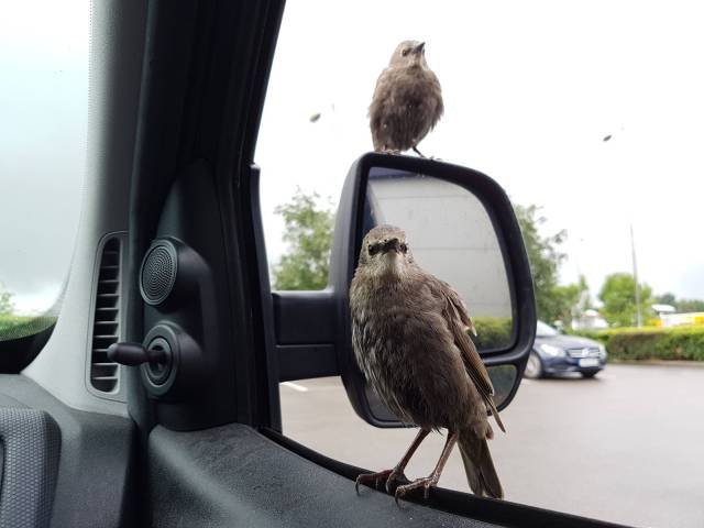 Bildschirmarbeiter - Picdump 05.08.2016