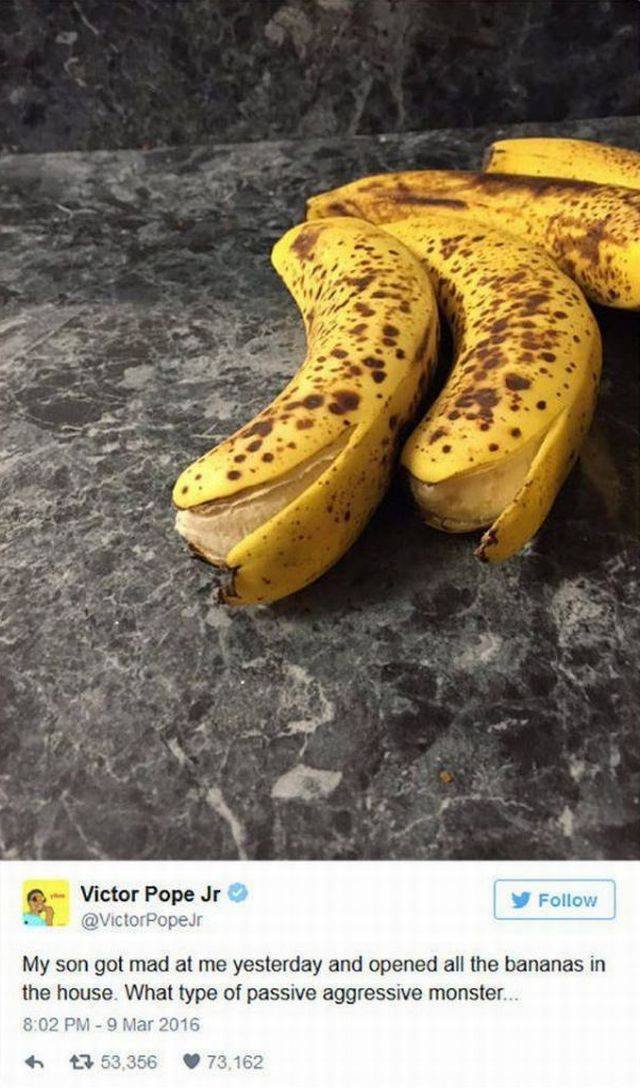 Bildschirmarbeiter - Picdump 05.08.2016