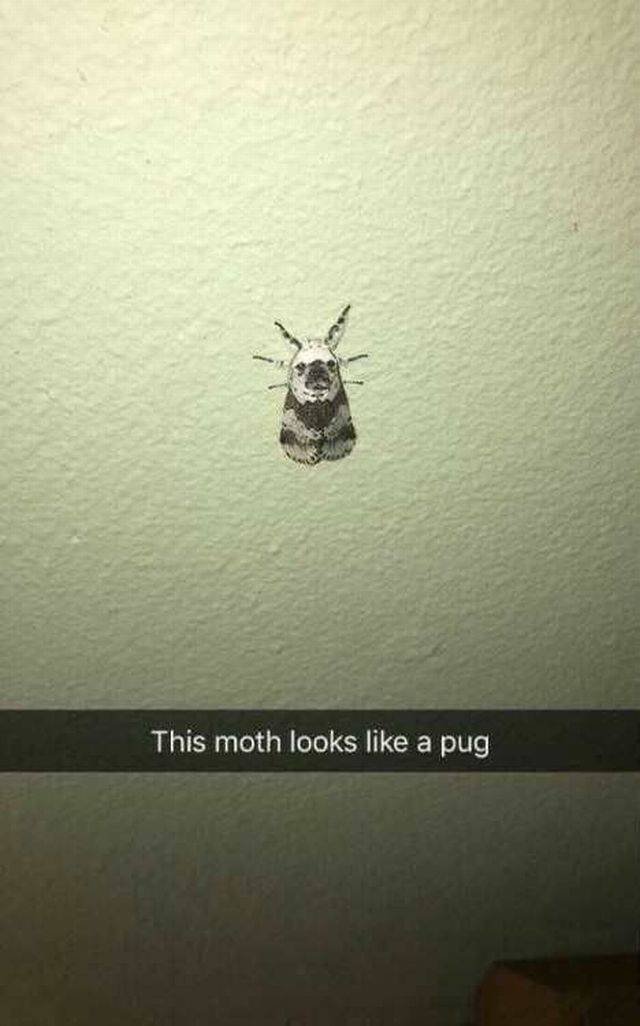 Bildschirmarbeiter - Picdump 05.08.2016