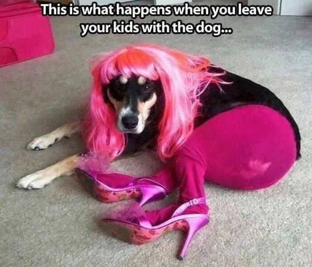 Bildschirmarbeiter - Picdump 05.08.2016