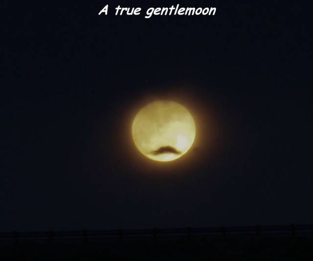 Bildschirmarbeiter - Picdump 05.08.2016