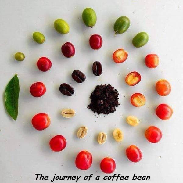 Bildschirmarbeiter - Picdump 05.08.2016