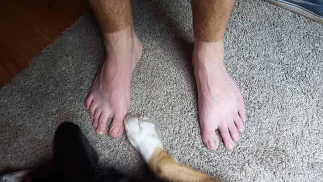 Bildschirmarbeiter - Picdump 05.08.2016