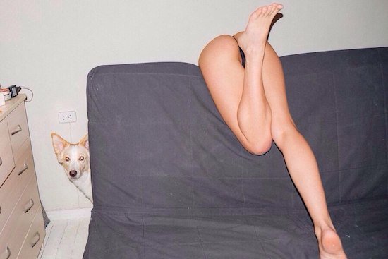 Bildschirmarbeiter - Picdump 05.08.2016