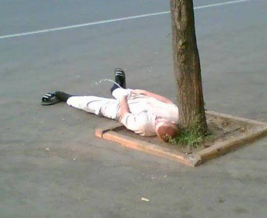 Bildschirmarbeiter - Picdump 05.08.2016