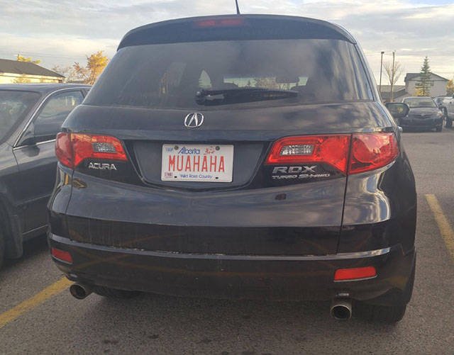 Bildschirmarbeiter - Picdump 05.08.2016