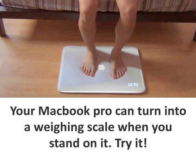 Bildschirmarbeiter - Picdump 12.08.2016