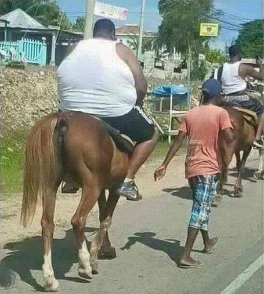 Bildschirmarbeiter - Picdump 12.08.2016