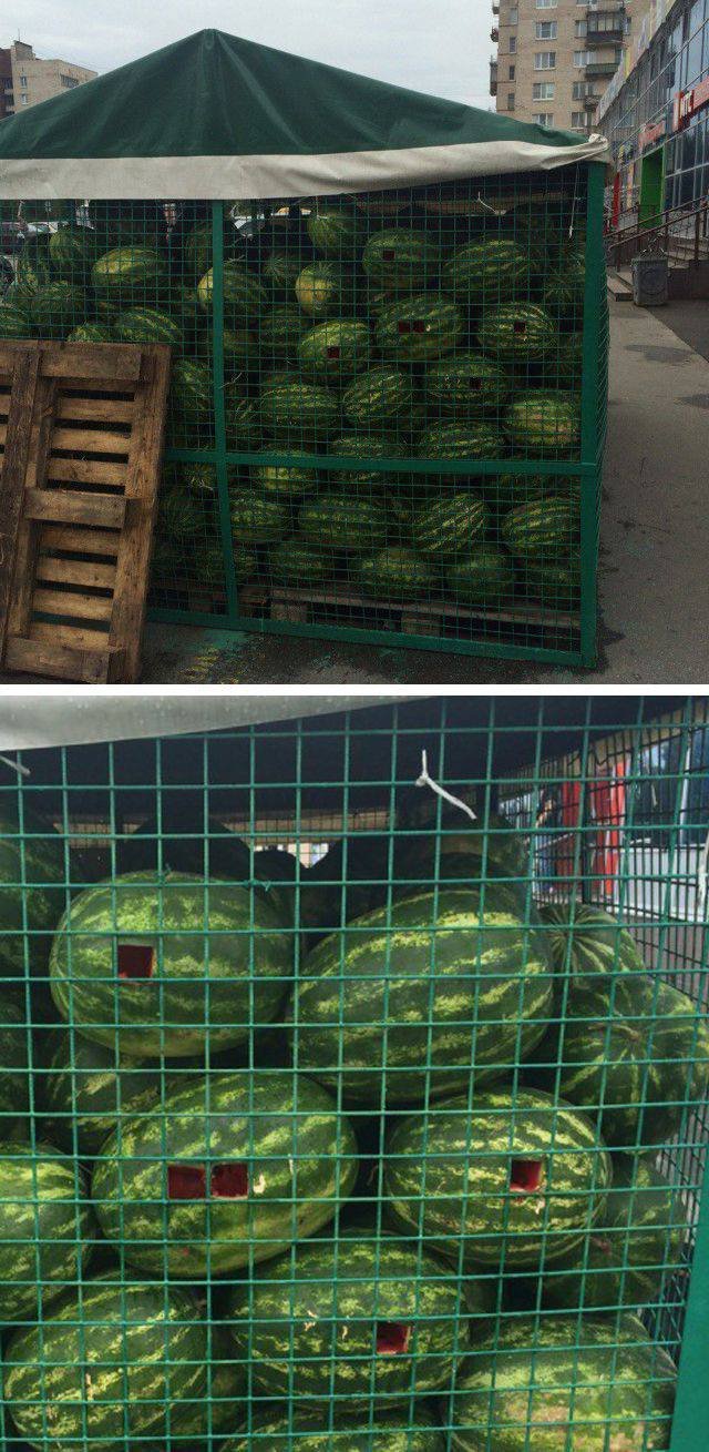 Bildschirmarbeiter - Picdump 12.08.2016