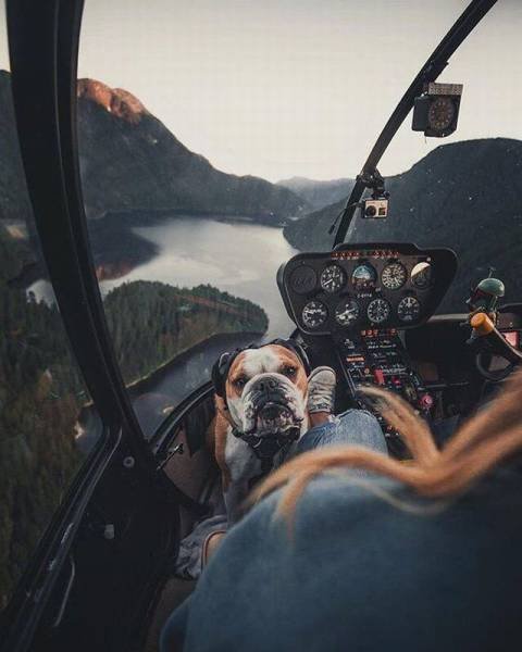 Bildschirmarbeiter - Picdump 12.08.2016