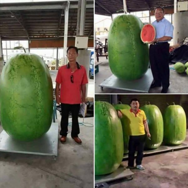 Bildschirmarbeiter - Picdump 12.08.2016