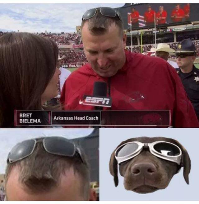 Bildschirmarbeiter - Picdump 12.08.2016