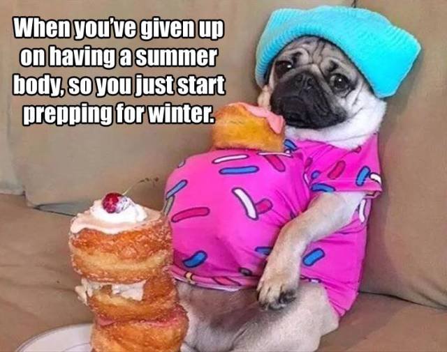 Bildschirmarbeiter - Picdump 12.08.2016