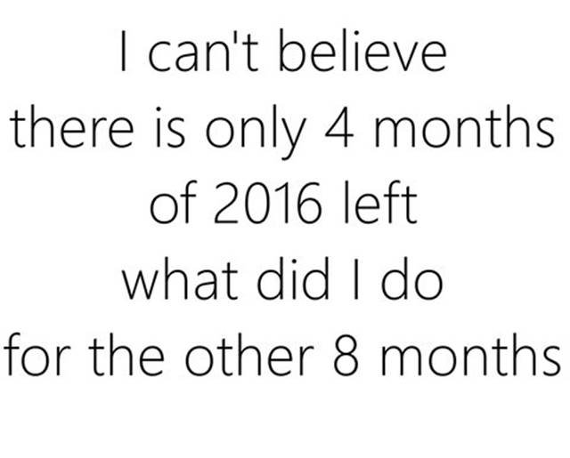 Bildschirmarbeiter - Picdump 12.08.2016