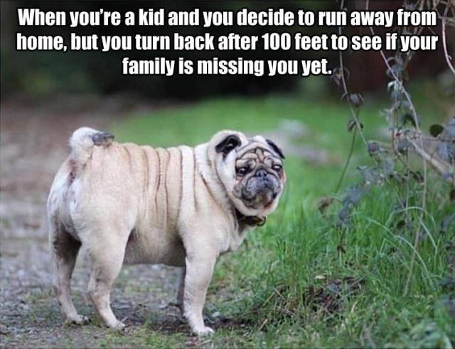 Bildschirmarbeiter - Picdump 12.08.2016