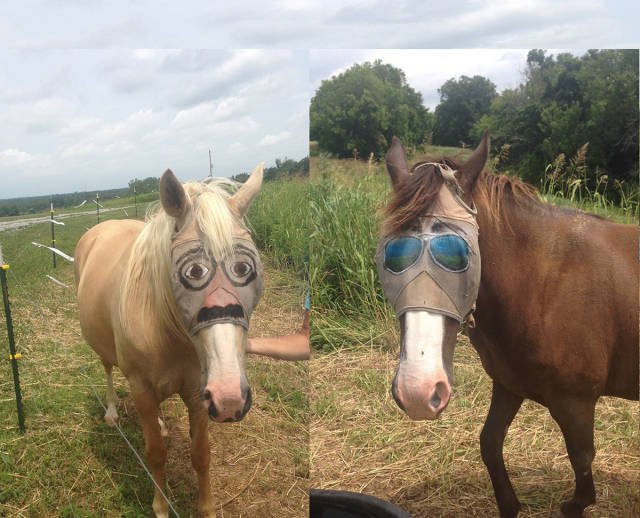 Bildschirmarbeiter - Picdump 12.08.2016