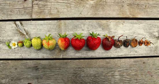 Bildschirmarbeiter - Picdump 12.08.2016