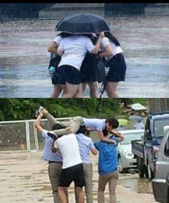 Bildschirmarbeiter - Picdump 12.08.2016