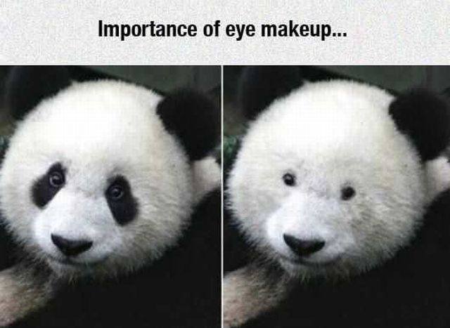 Bildschirmarbeiter - Picdump 19.08.2016