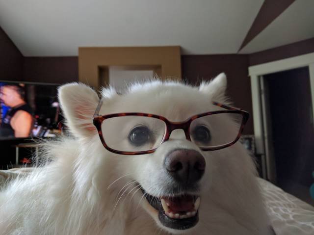 Bildschirmarbeiter - Picdump 19.08.2016