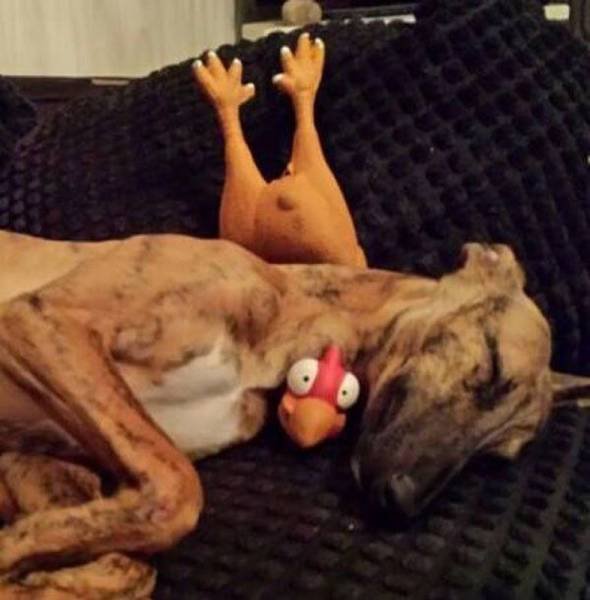 Bildschirmarbeiter - Picdump 19.08.2016