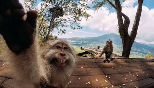 Bildschirmarbeiter - Picdump 19.08.2016