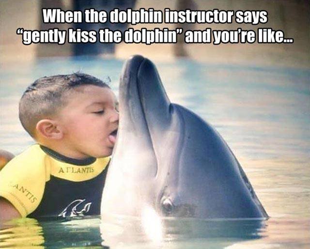 Bildschirmarbeiter - Picdump 19.08.2016