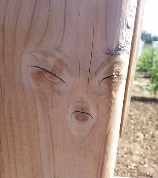 Bildschirmarbeiter - Picdump 19.08.2016