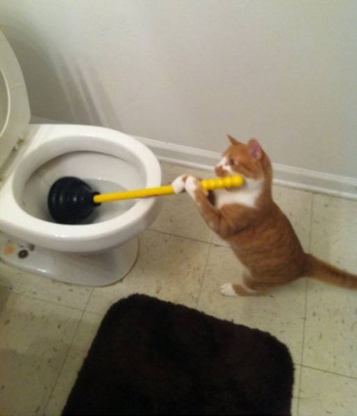 Bildschirmarbeiter - Picdump 19.08.2016