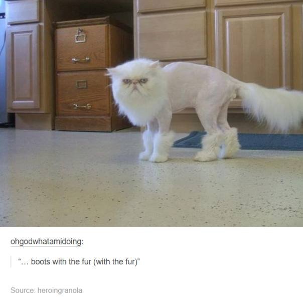 Bildschirmarbeiter - Picdump 19.08.2016