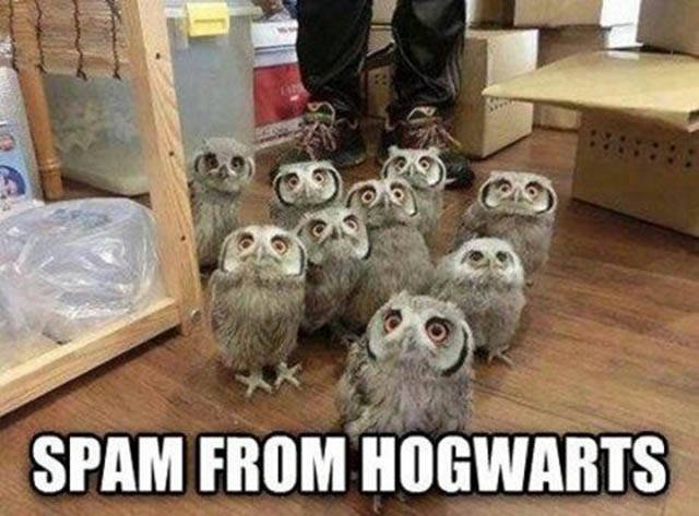 Bildschirmarbeiter - Picdump 19.08.2016