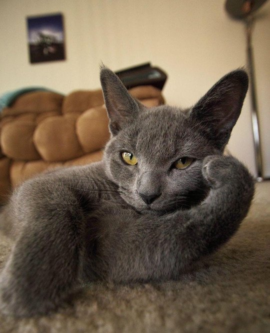 Bildschirmarbeiter - Picdump 19.08.2016