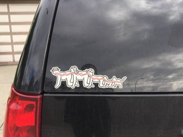 Bildschirmarbeiter - Picdump 19.08.2016