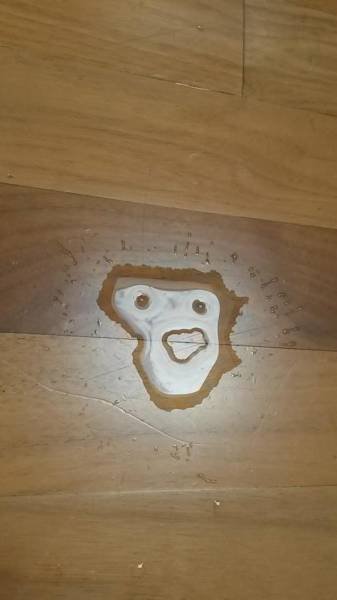 Bildschirmarbeiter - Picdump 19.08.2016