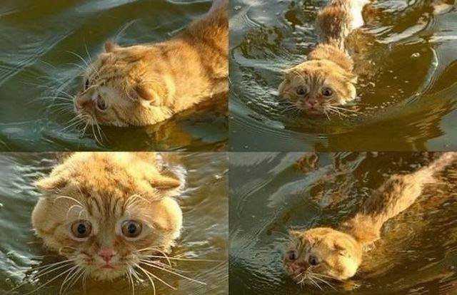 Bildschirmarbeiter - Picdump 26.08.2016