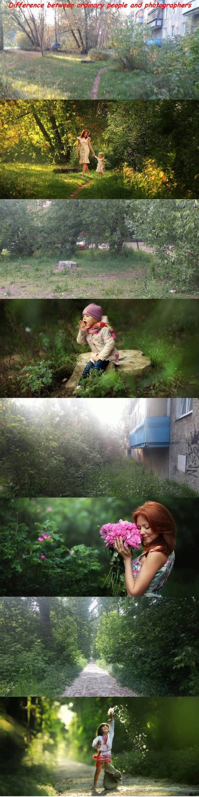 Bildschirmarbeiter - Picdump 26.08.2016