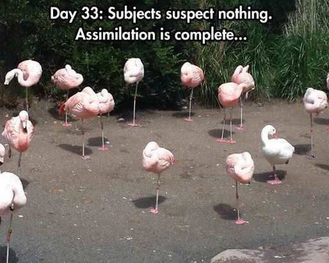 Bildschirmarbeiter - Picdump 26.08.2016