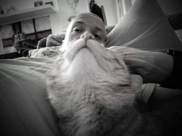 Bildschirmarbeiter - Picdump 26.08.2016