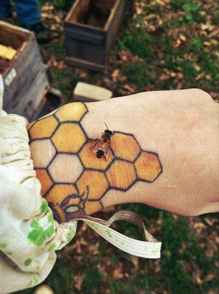 Bildschirmarbeiter - Picdump 26.08.2016